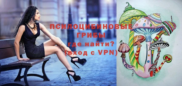 герыч Бородино