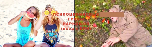 mdpv Бугульма